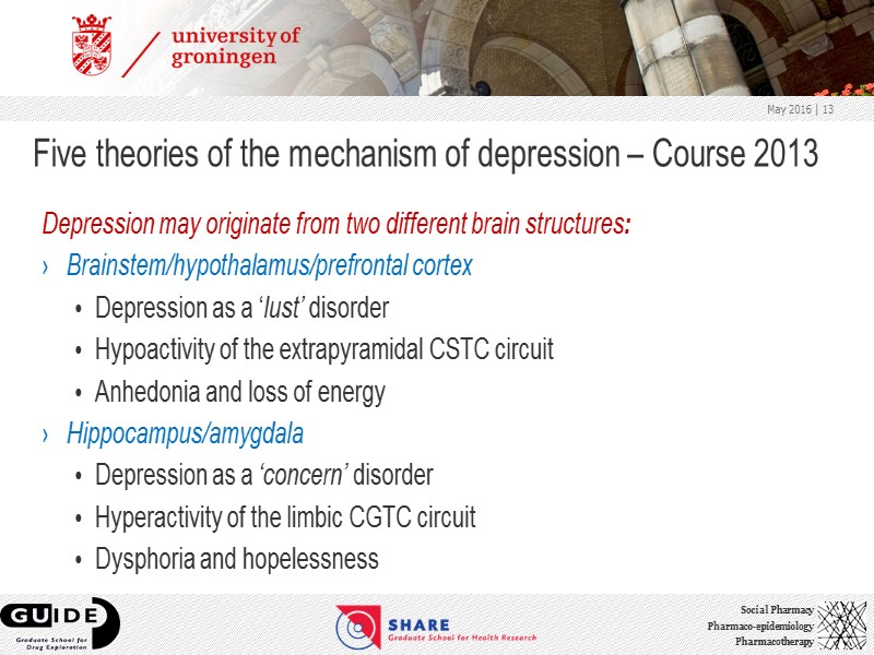 Five theories of the mechanism of depression – Course 2013  Depression may originate